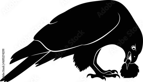 majestic black hawk silhouette a of predatory power, seizing its prey with fierce determination, isolated on transparent background