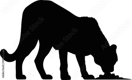 majestic cougars silent hunt a silhouette of stealthy power and primal instincts, isolated on transparent background