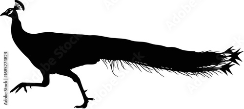 majestic peacock silhouette a regal stride, vibrant plumage, symbol of pride and beauty, isolated on transparent background