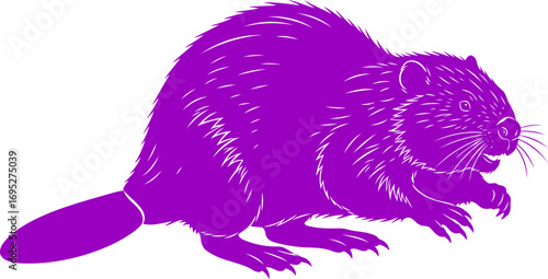 majestic purple beaver silhouette a icon of industrious nature, quiet strength, and dam building prowess, isolated on transparent background