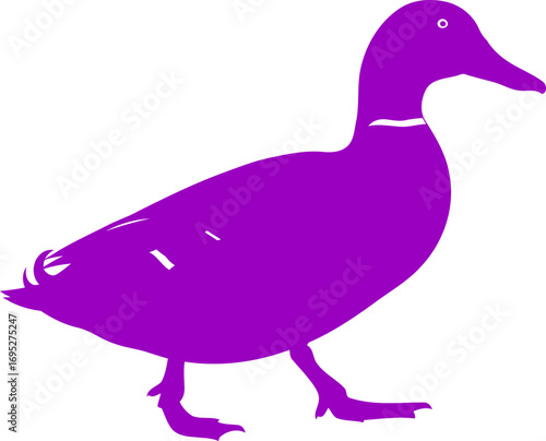 majestic purple duck silhouette art of serene pond life and tranquil nature, isolated on transparent background