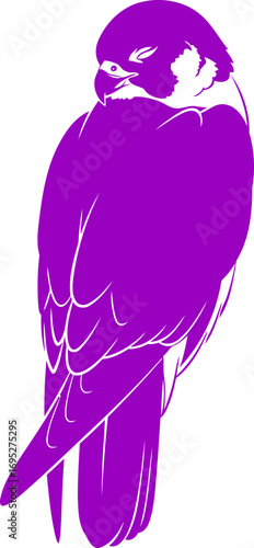 majestic purple falcon silhouette a regal bird of prey at rest, symbol of power, grace, and quiet vigilance, isolated on transparent background