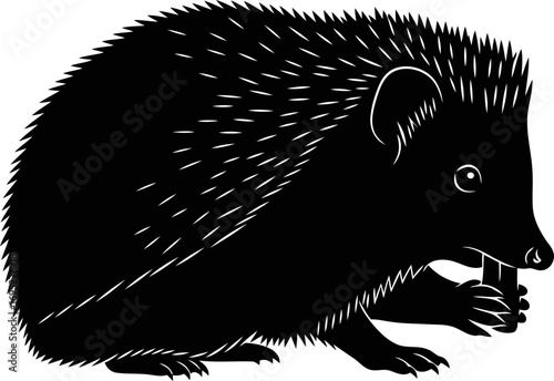 nocturnal hedgehog silhouette a graphic of quiet strength and gentle delicacy, isolated on transparent background