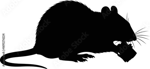 nocturnal rodent silhouette a of shadowy mystery and urban stealth, isolated on transparent background