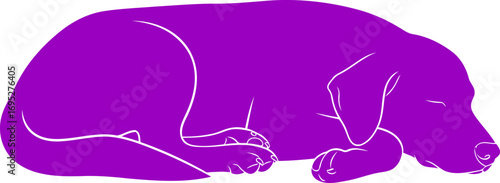 peaceful purple dog silhouette art of canine rest, sweet dreams, and loyal companionship, isolated on transparent background