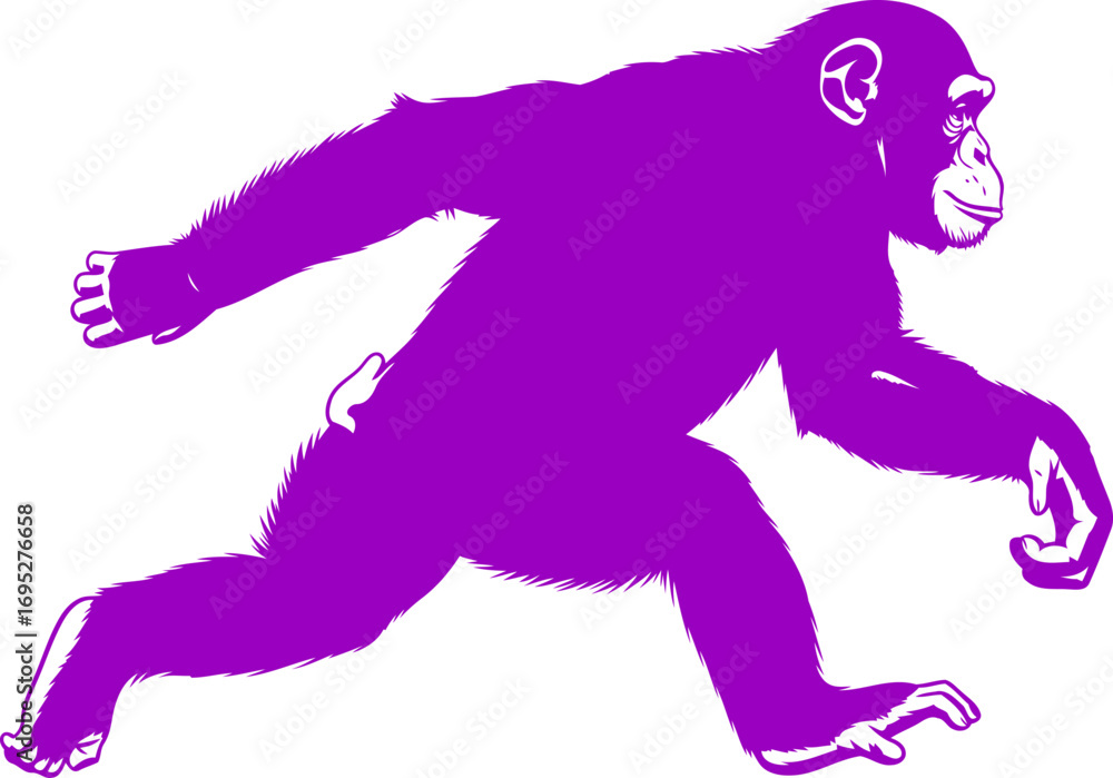 Fototapeta premium purple chimpanzee silhouette dynamic movement, primate power, vibrant energy, isolated on transparent background