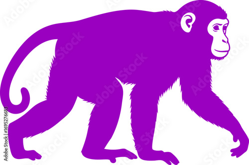 purple chimpanzee silhouette walking primate, vivid color, jungle icon, isolated on transparent background