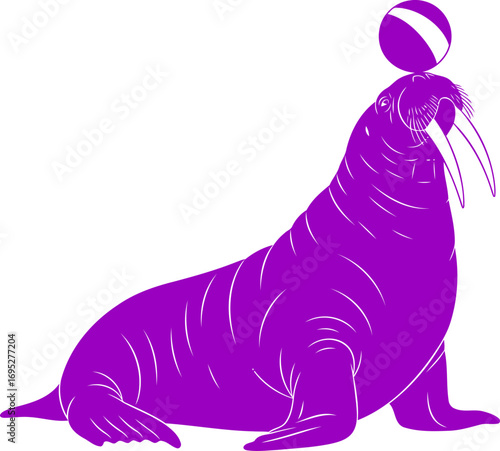 purple walrus balancing act silhouette of arctic charm, playful skill, and unexpected grace, isolated on transparent background