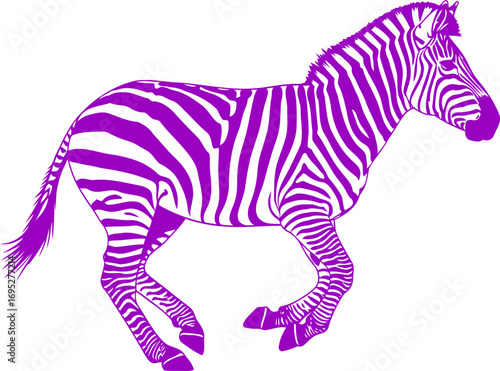 purple zebra silhouette a vibrant burst of freedom, leaping with joyful energy, art, isolated on transparent background