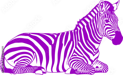 resting purple zebra silhouette serene savanna majesty, wild equine grace, isolated on transparent background