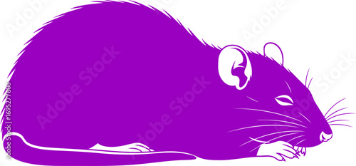 serene purple rat silhouette a symbol of quiet strength and unexpected calm, isolated on transparent background