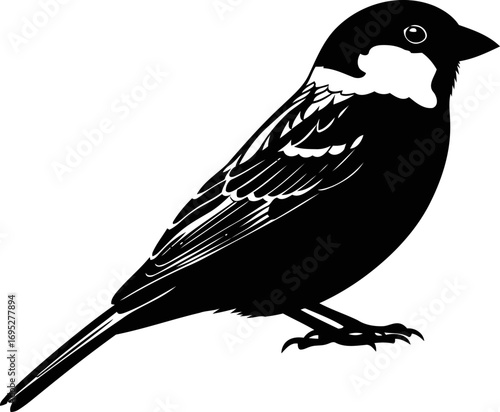 silhouette of a small bird a tiny songbirds graceful pose, natures quiet melody, simple elegance, isolated on transparent background