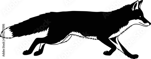 silhouette of a stealthy fox a nighttime prowl in the forest, isolated on transparent background