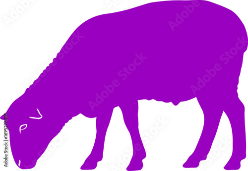 violet sheep silhouette serene grazing, art of pastoral peace and humble beauty, isolated on transparent background
