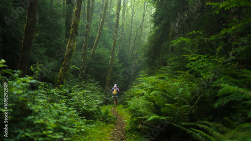 trail in the woods