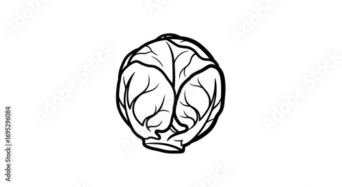 brussels sprout line art, simple vegetable illustration, vegan food drawing, healthy eating graphic, botanical sketch