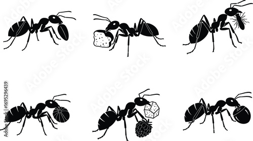 Black ant silhouettes carrying food items, insect teamwork, wildlife foraging, nature strength, colony cooperation, vector illustration, isolated white background, edible objects