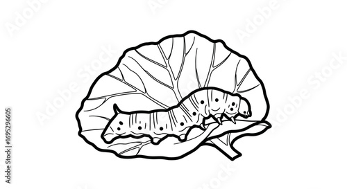 caterpillar on leaf, insect illustration, line art, black and white, nature drawing, wildlife, detailed, botanical, zoology, entomology