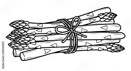 fresh asparagus bundle illustration handdrawn vegetable graphic, farmtotable produce