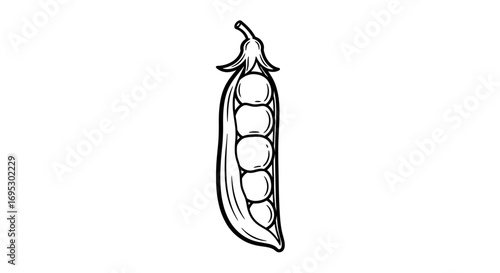fresh green peas in pod line art, vegan food, healthy eating illustration