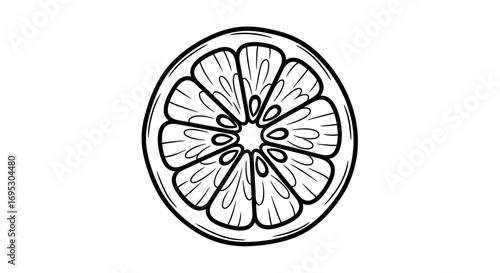 handdrawn citrus fruit, orange slice, black line art, simple graphic, fresh fruit, summer illustration, healthy food, vitamin c, juicy, food design