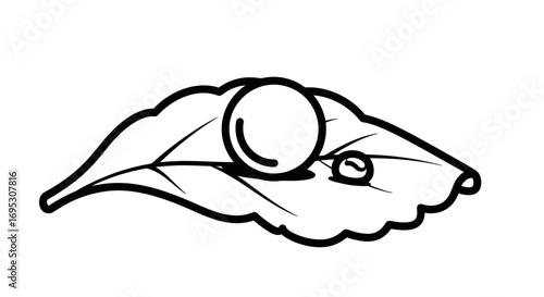 pearl on leaf dewdrop, nature, simple line art, clean illustration, botanical design