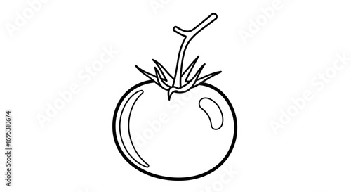 simple line drawing of a tomato, fresh vegetable, red fruit, vegan food illustration