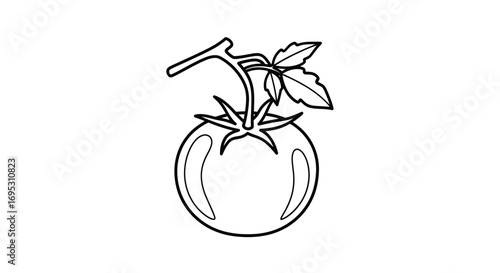 single tomato with stem and leaves line drawing, fresh vegetable illustration, simple design, organic food graphic