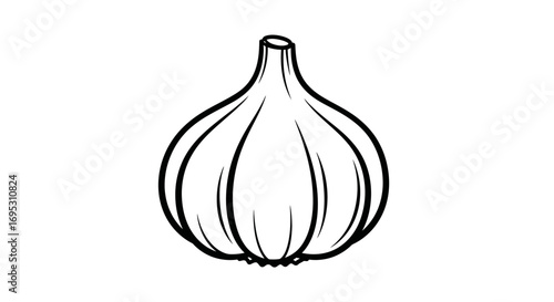 single garlic bulb line art, cooking ingredient, spice, food illustration, black and white