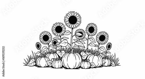 sunflowers and pumpkins autumn harvest fall season graphic design element