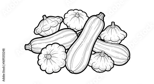 zucchini and pattypan squash harvest fresh organic vegetables, farm to table, autumn mood