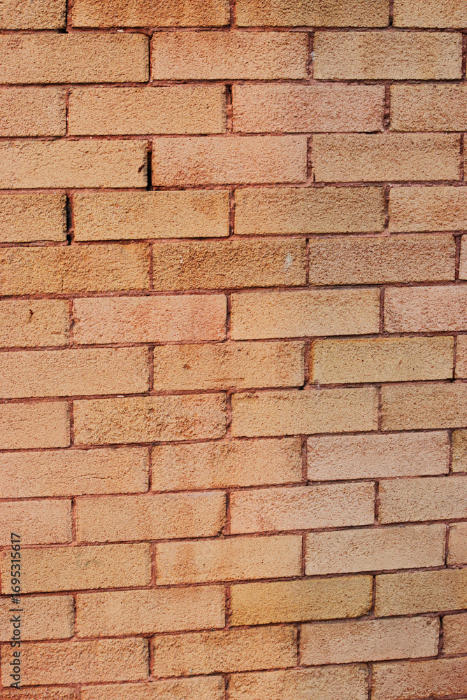 Fototapeta premium brick wall background
