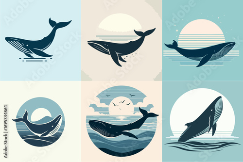 vector illustration set of fin whales