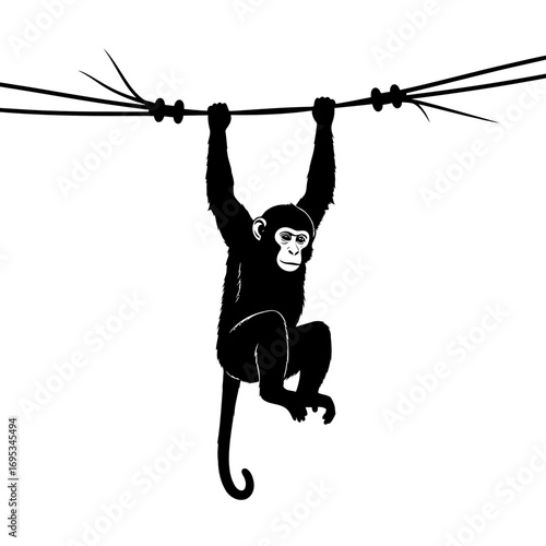 Black monkey hanging on a branch silhouette isolated on white background