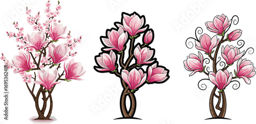 Elegant stylized magnolia trees with pink blossoms in three artistic styles, botanical spring floral vector illustration for seasonal decorative design