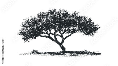 Isolated grainy texture black silhouette of a spreading tree on transparent background. Vector hand drawn illustration