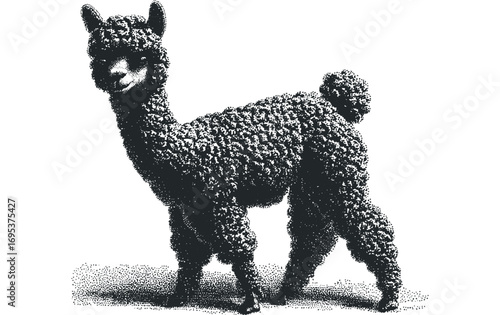 Stippled Alpaca Standing on Textured Ground Isolated. Vector hand drawn illustration