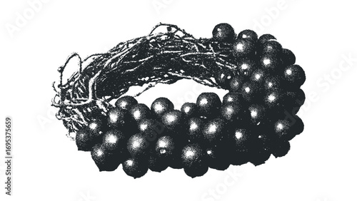 Blackthorn fruit and berries on a branch, cut out transparent. Vector hand drawn illustration