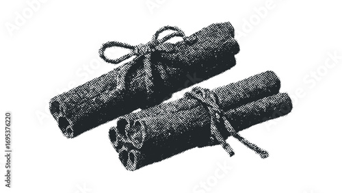 Bundles of Cinnamon Sticks with Twine Image. Vector hand drawn illustration
