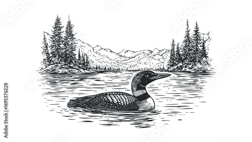 Pen and ink sketch of a loon swimming on a lake with pine trees and mountains. Vector hand drawn illustration