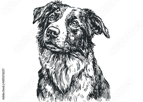 Line Art Portrait of a Dog, Transparent. Vector hand drawn illustration
