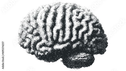 Grayscale Halftone Human Brain Outline Graphic. Vector hand drawn illustration
