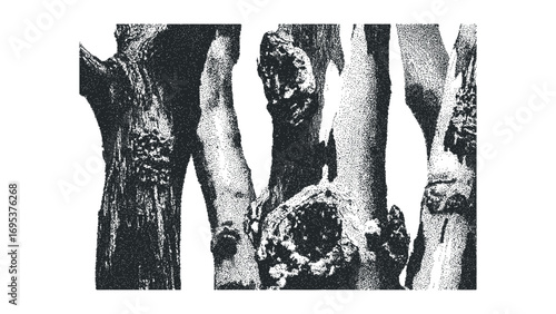 Stippled tree trunks and knots rendered in black and white stippling. Vector hand drawn illustration