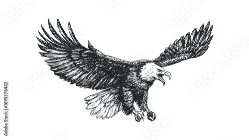 Detailed line art sketch of a bald eagle in flight with outstretched wings and open beak. Vector hand drawn illustration