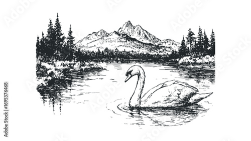 Hand drawn sketch of a swan swimming on a lake with pine trees and mountains. Vector hand drawn illustration