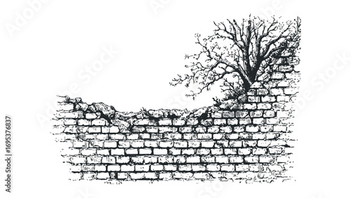 Hand drawn broken brick wall with bare tree branches. Vector hand drawn illustration