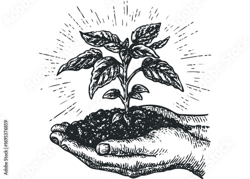 Hands holding soil with plant sprout and sun rays graphic. Vector hand drawn illustration