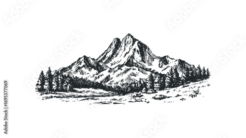 Pencil Sketch of Mountain Range with Pine Forest and Snowy Peaks. Vector hand drawn illustration