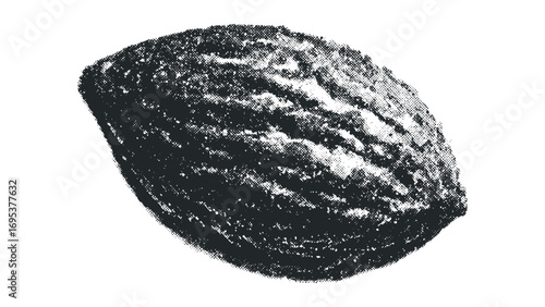 Halftone textured cocoa bean isolated on transparent background. Vector hand drawn illustration