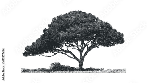 Monochromatic Textured Tree with Ground Coverage on Transparent. Vector hand drawn illustration